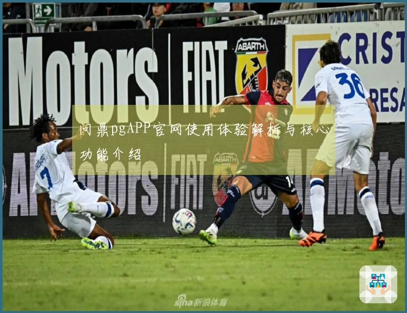 问鼎pgAPP官网使用体验解析与核心功能介绍