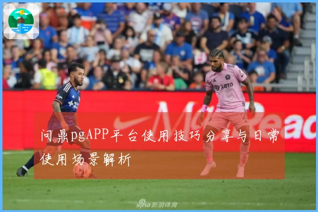 问鼎pgAPP平台使用技巧分享与日常使用场景解析